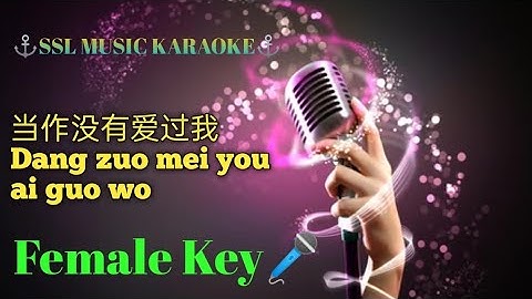 当作没有爱过我~Dang zuo mei you ai guo wo🎧🎵🎼 Karaoke (Female)