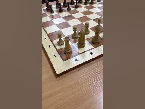 Школа шахмат Chesswave