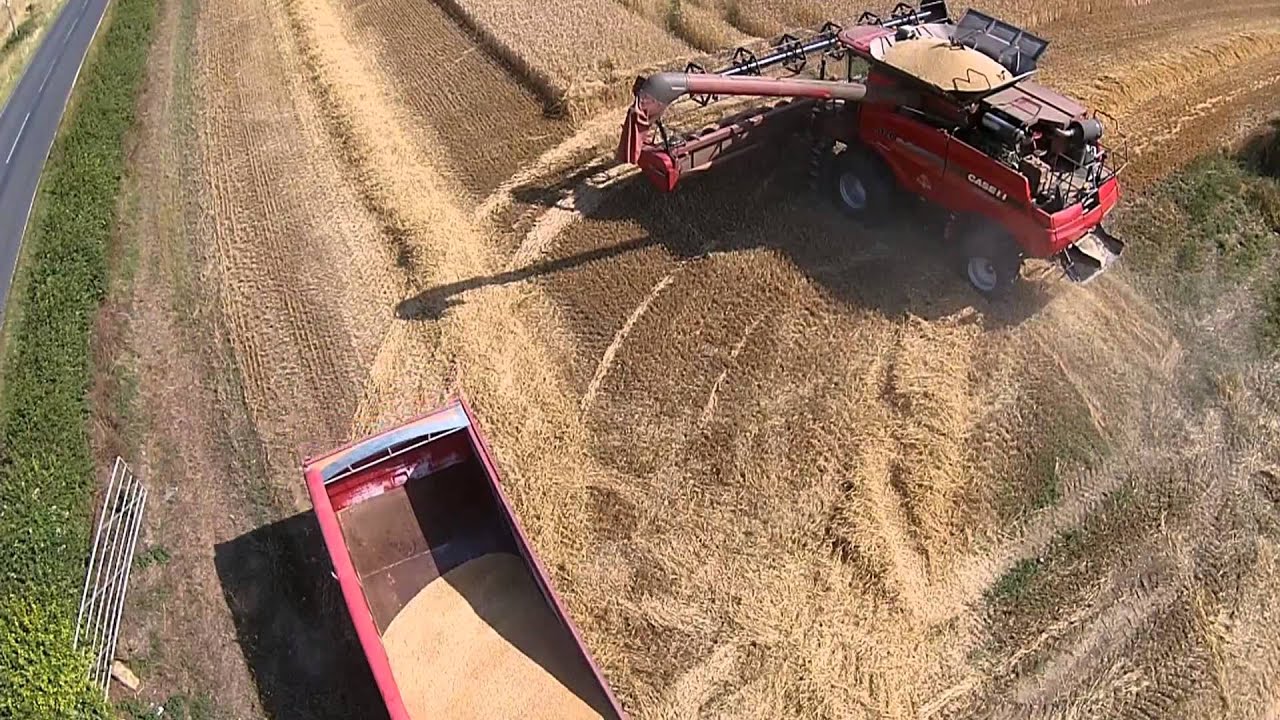 More harvesting at South Whitwell, Comberton - 8th August 2015