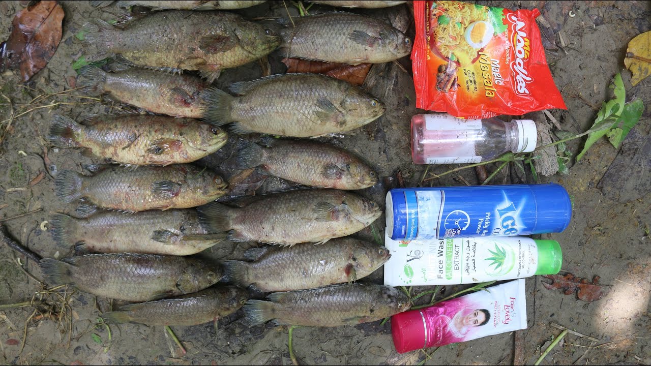 Build Unique Primitive Fish Trapping Tool Using Traditional Trap That Work 100%-first prove Trap