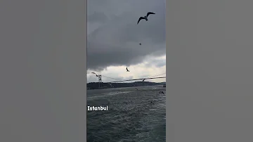 تركيا وجمالها اغاني تركي اغاني تركية تركيا سبسكرايب اغاني تركية Vidio Short لايك Gll 