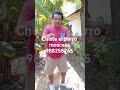 chiste el perro moscasa 988258765 cesar Gabrielli timoteo