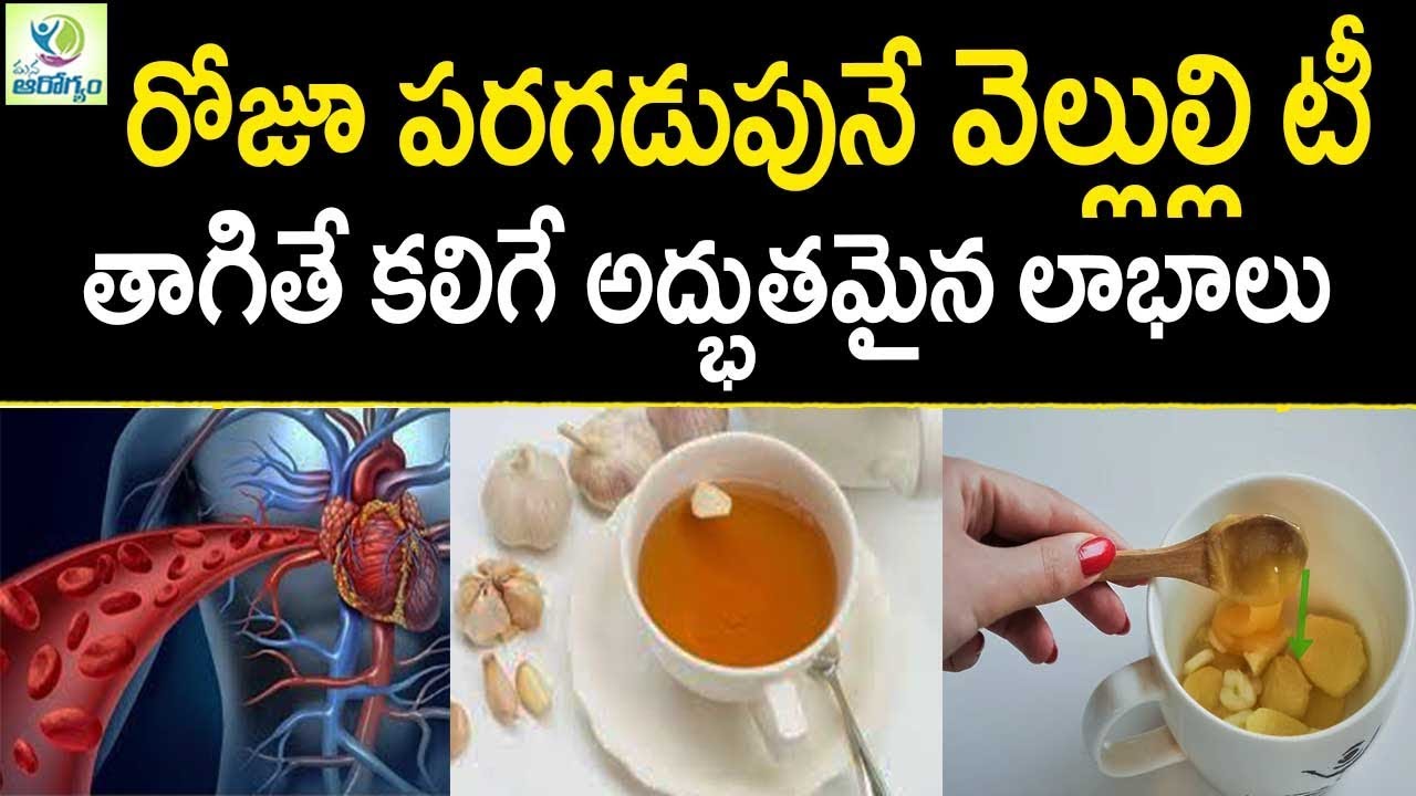 Garlic Tea Benefits and Side Effects advise Garlic Tea Benefits and Side Effects advise