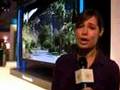 CES 2008 - Panasonic 150" Plasma Display Advanced HD