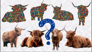 BERMAIN GAME ‼ MENCOCOKAN GAMBAR SAPI BULL LUCU PUZZLE ANIMALS CUTE HIGHLAND COW screenshot 4