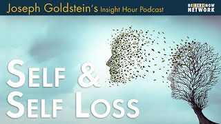 Joseph Goldstein on Self and Self Loss  Insight Hour Ep. 167