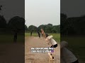 Wait for end👀🤔..?#cricket #trending #shorts #youtube #motivation #sai academy players