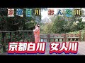 京都白川 おんな川 |植物園 練習日本舞踊 |元唄:葵かを里|傳唱:雙 人