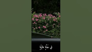 #سورة_الغاشية #اذكروا_الله_يذكركم #اكسبلور #لايك #رمضان_كريم