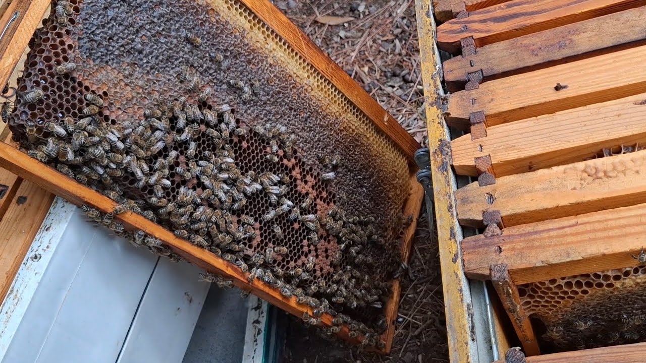 19 Σεπτεμβρίου 2025