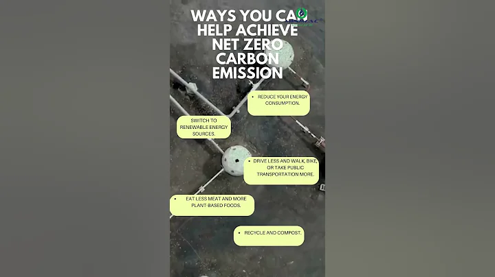 Unveiling the Dark Side: Net Zero Carbon Emission's Impact