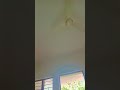 Pankha chale to hawa deta hai #funjokes #shortsviral #ytshorts #shorts