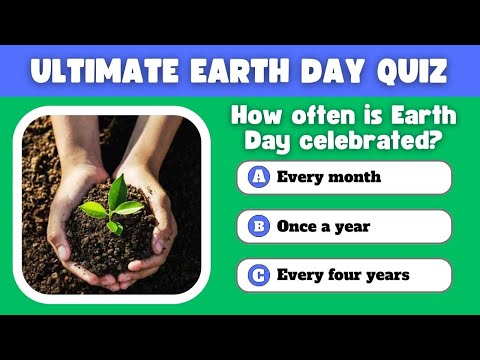 What Is The Trivia Of The Day