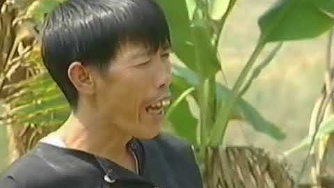 Qaib dib tham poj nrauj