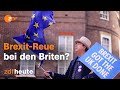 Persönliche Schicksale und schwache Wirtschaft: Bilanz nach zwei Jahren Brexit | auslandsjournal