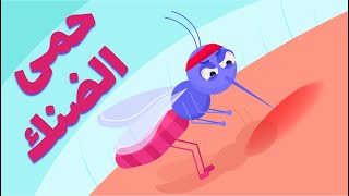 حمى الضنك - الأعراض والعلاج والوقاية (Dengue Fever)