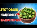 Высокий Креатинин. Топ-5 Овощей Для Естественной Очистки Почек После 60