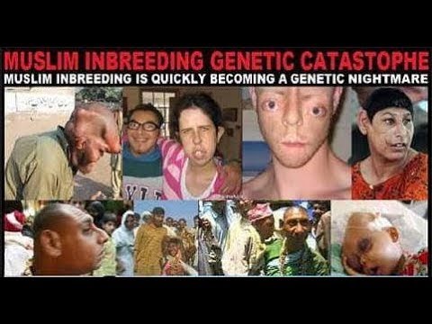 inbreeding amongst muslims islam knows best youtube