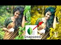 Snapseed photo colour lighting photo editing video