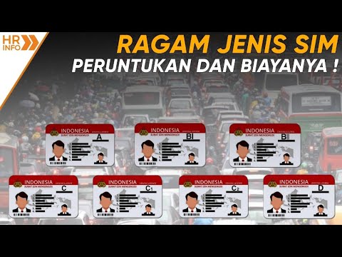 Video: Apa perbedaan antara SIM saja dan bayar sesuai pemakaian?