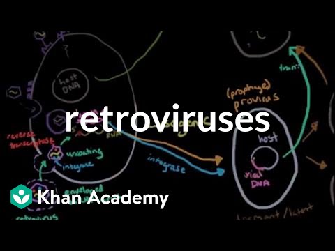 Video: Unterschied Zwischen Provirus Und Retrovirus