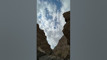 سورة إبراهيم القارئ:#المنشاوي 🤍#القرآن_الكريم #اكسبلور #المصحف #تلاوة #راحة_نفسية #حالات_واتس