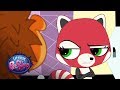 Littlest Pet Shop Season 4 - &#39;Introducing Scarletta Redd, the Red Panda&#39; Official Clip