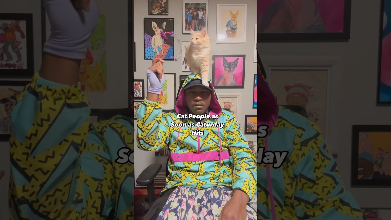 Happy Caturday Cat Family!!! #cat #kitten #kitty #catvideos #catlover #cats #caturday #thecatrapper