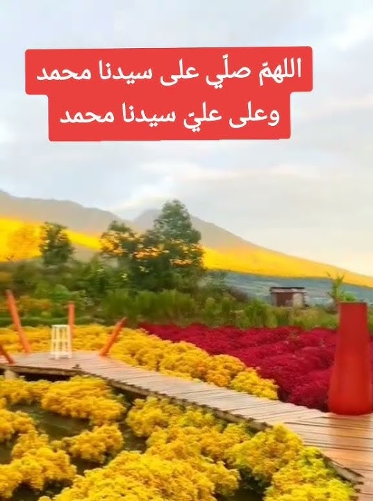 #pecintarosulullahsaw #sholawatnabi #fyourpage #jannah #sholawatan #all #viralvideo #fypyoutube