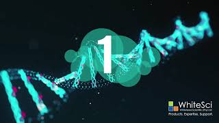 5 DNA Fun Facts