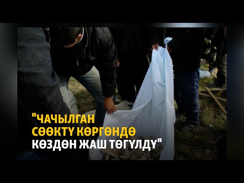 Video: Бодл күрөшү качан башталган?