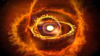 The Holy Bible 0101 NKJV 03 Leviticus 11