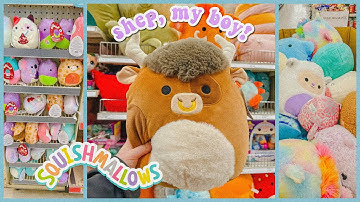 FINALLY, Found Shep 🧡 || Squishmallow Hunting & Haul