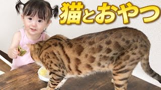 おやつを食べる赤ちゃん娘と、一緒に食べたいお兄ちゃん猫