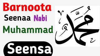 Download Lagu Seenaa Nabi Muhammad| Barnoota Seenaa Nabi Muhammad | Seensa MP3