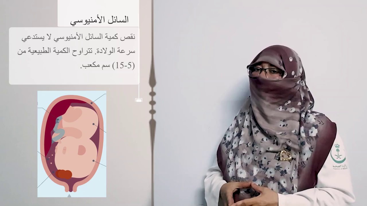 السونار الثنائي والثلاثي في متابعة الحمل : وأهمية الموجات الصوتية؟  د. امل سعيد ..مشوار للعيادة