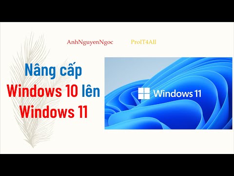 Hướng dẫn nâng cấp Windows 10 lên Windows 11