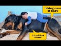 My dog wants baby back | dog protecting newborn baby | funny dog videos |