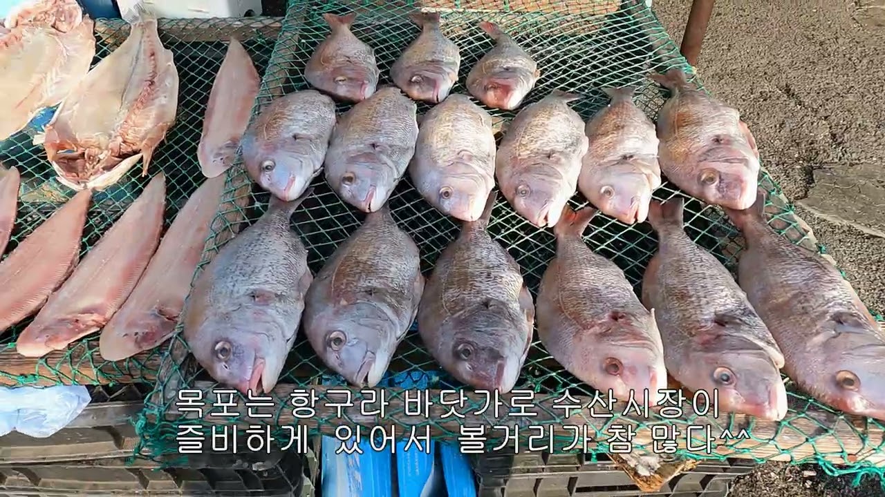 남도 해양열차타고 목포여행