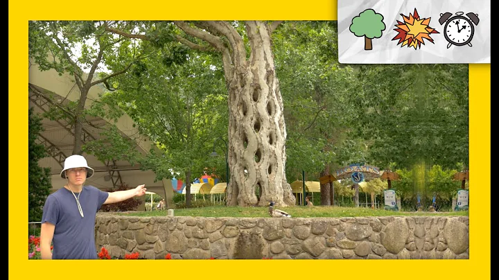 Incredible Tree Sculptures  NATURE BOOM TIME! Ep. 4
