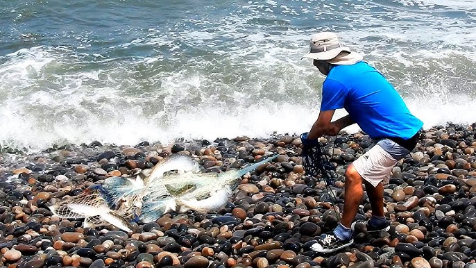 The Sea Delivers a Giant Surprise... Look What They Pull Out of the Water!  - YouTube