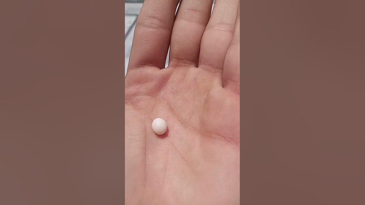 lizard-egg-it-is-called-in-urdu-chipkali-k-ande-details-is-in-the