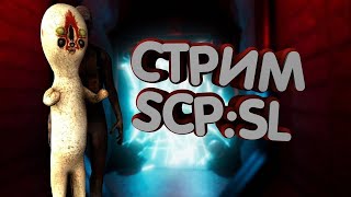 SCP SL под контролем зрителей: Chaos Tricks в деле!