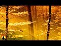Yoga Meditation Music, Relaxing Music, Music for Stress Relief, Soft Music, Background Music, ☯3489