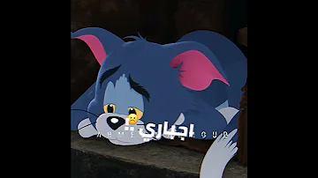 محمود معتمد فين اللي كانوا معايا حالات واتس حد 