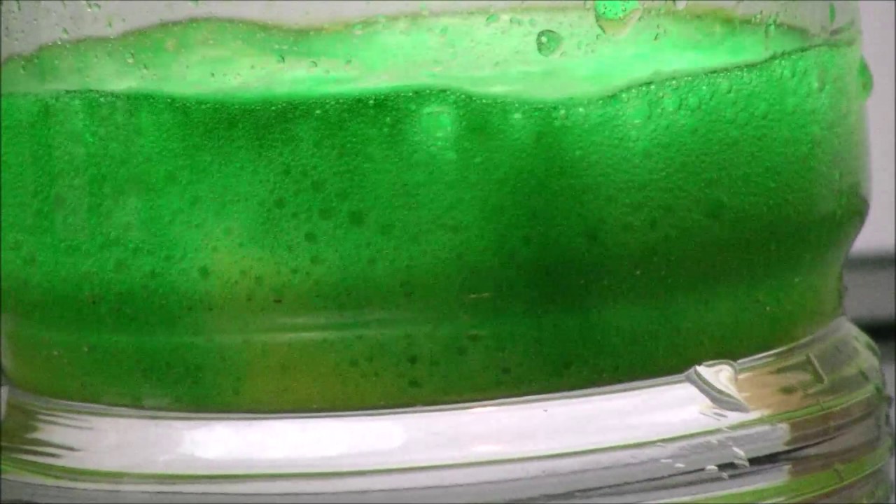 Oddly Satisfying Science Citric Acid and Baking Soda Reaction to