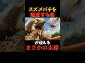 スズメバチ駆逐するハチクマのまさかの末路#shorts