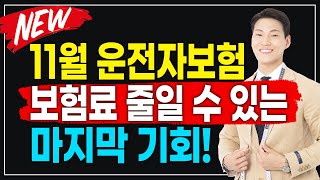 11월 운전자보험 가입을 고려 중이라면 할인 중인 보험사를 선택하세요(11개 보험사 전부 비교 후 추천)