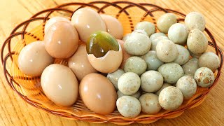 Make PiDan eggs at home, simple and practical, 3 days to get ... 