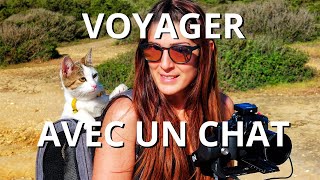 VOYAGER en van avec un CHAT : C'EST POSSIBLE